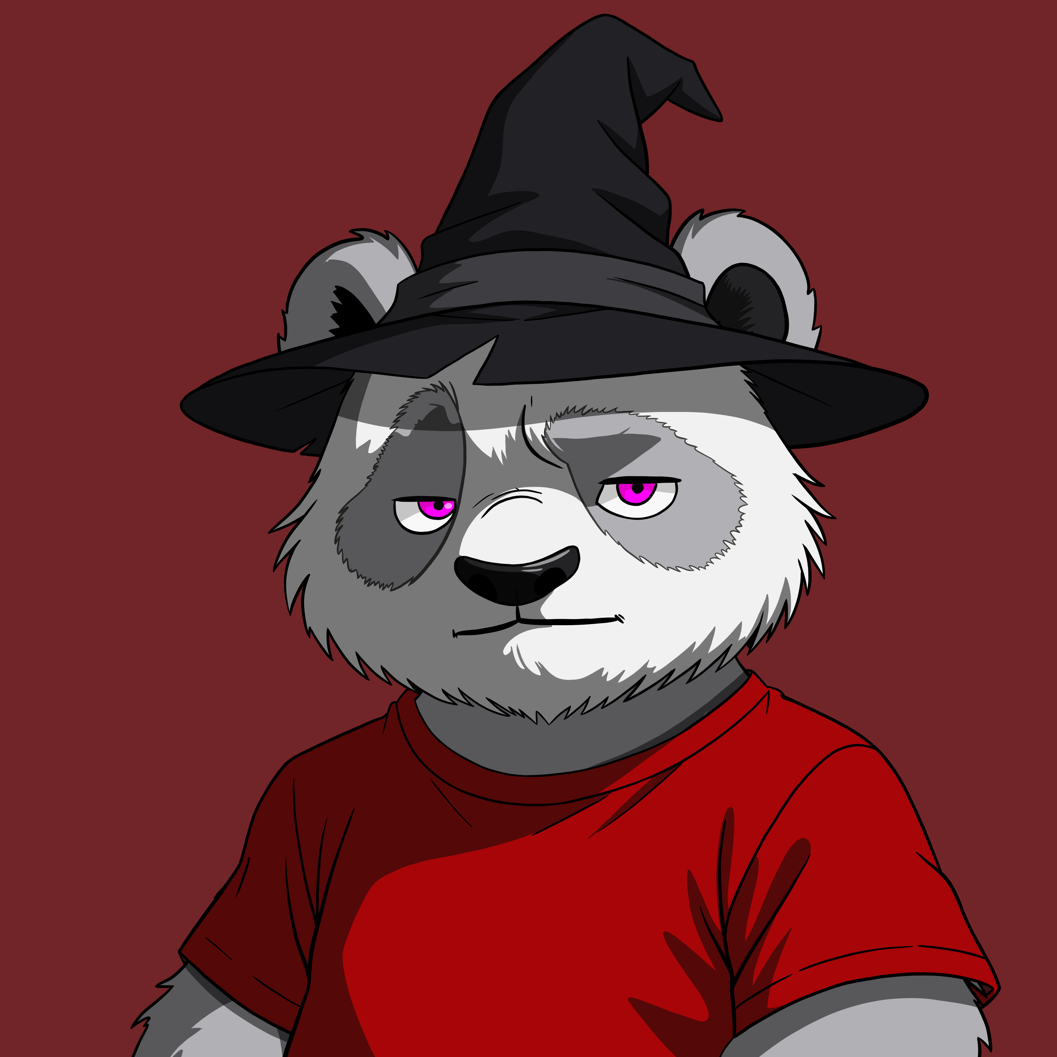Pandas On Sol #427 NFT artwork