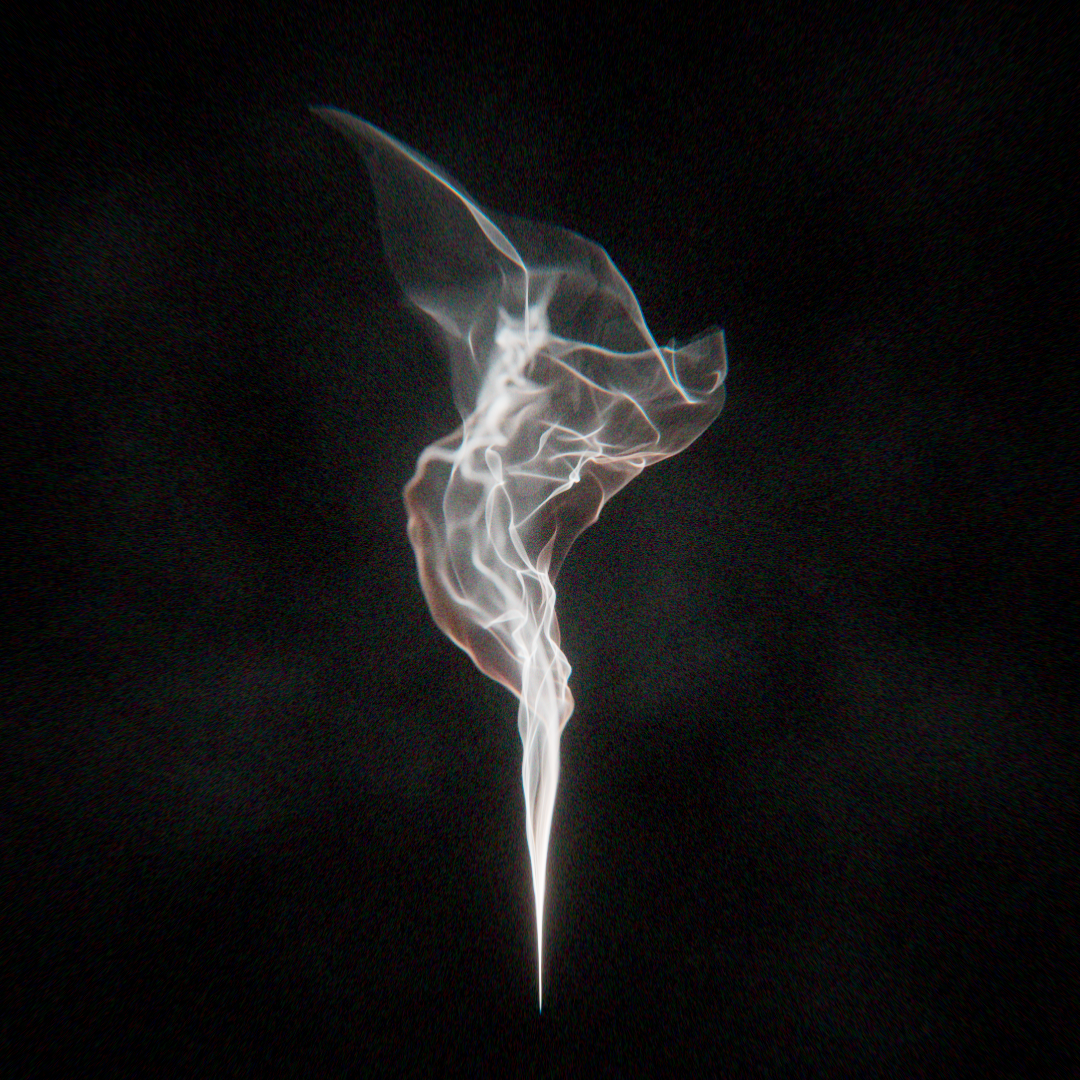 Ghost in the Machine (286/1809) NFT artwork