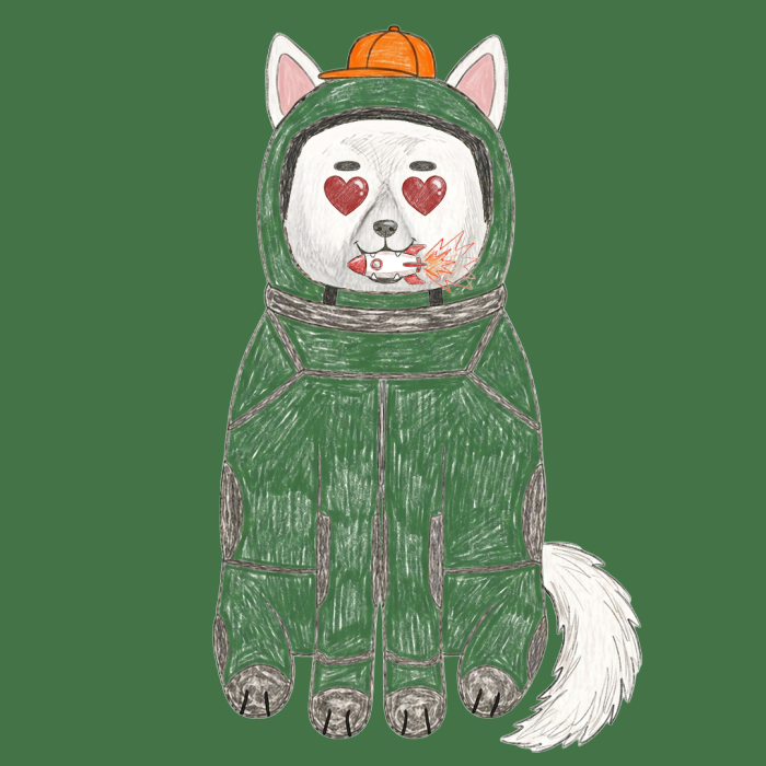Space Shibas #34 NFT artwork