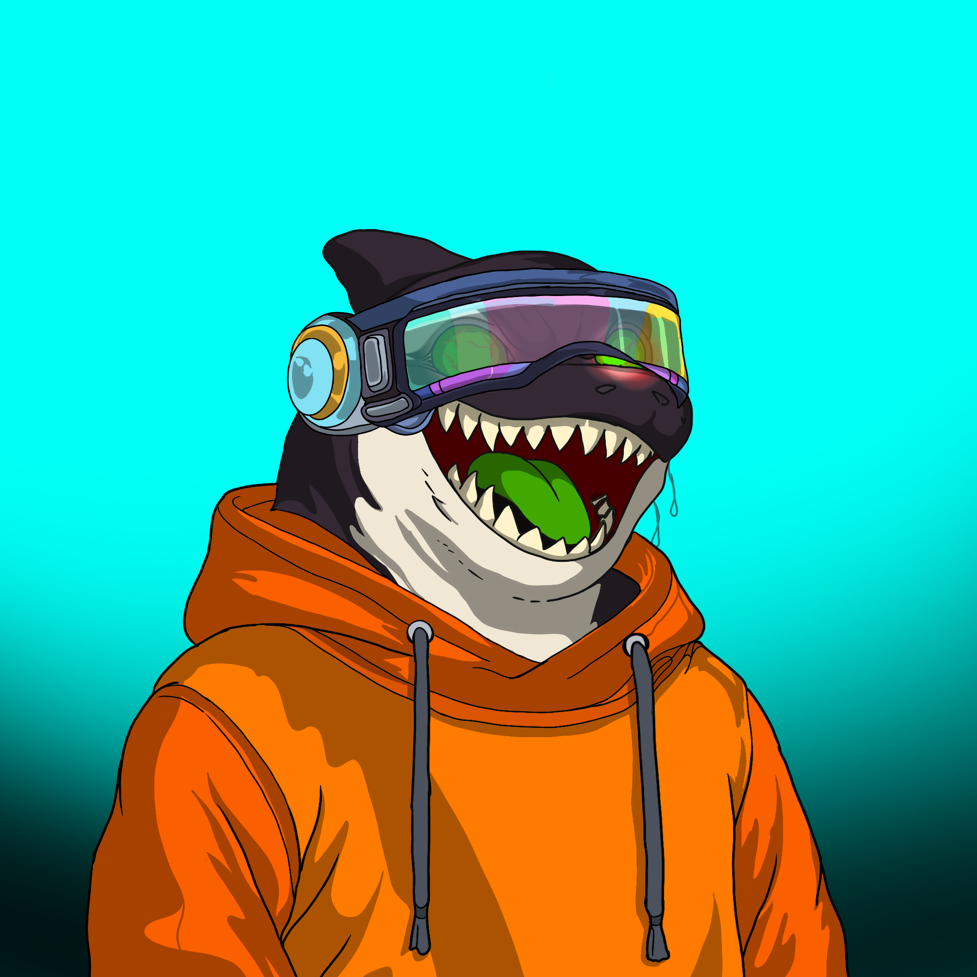 CRAZY ORCAS #76 NFT artwork