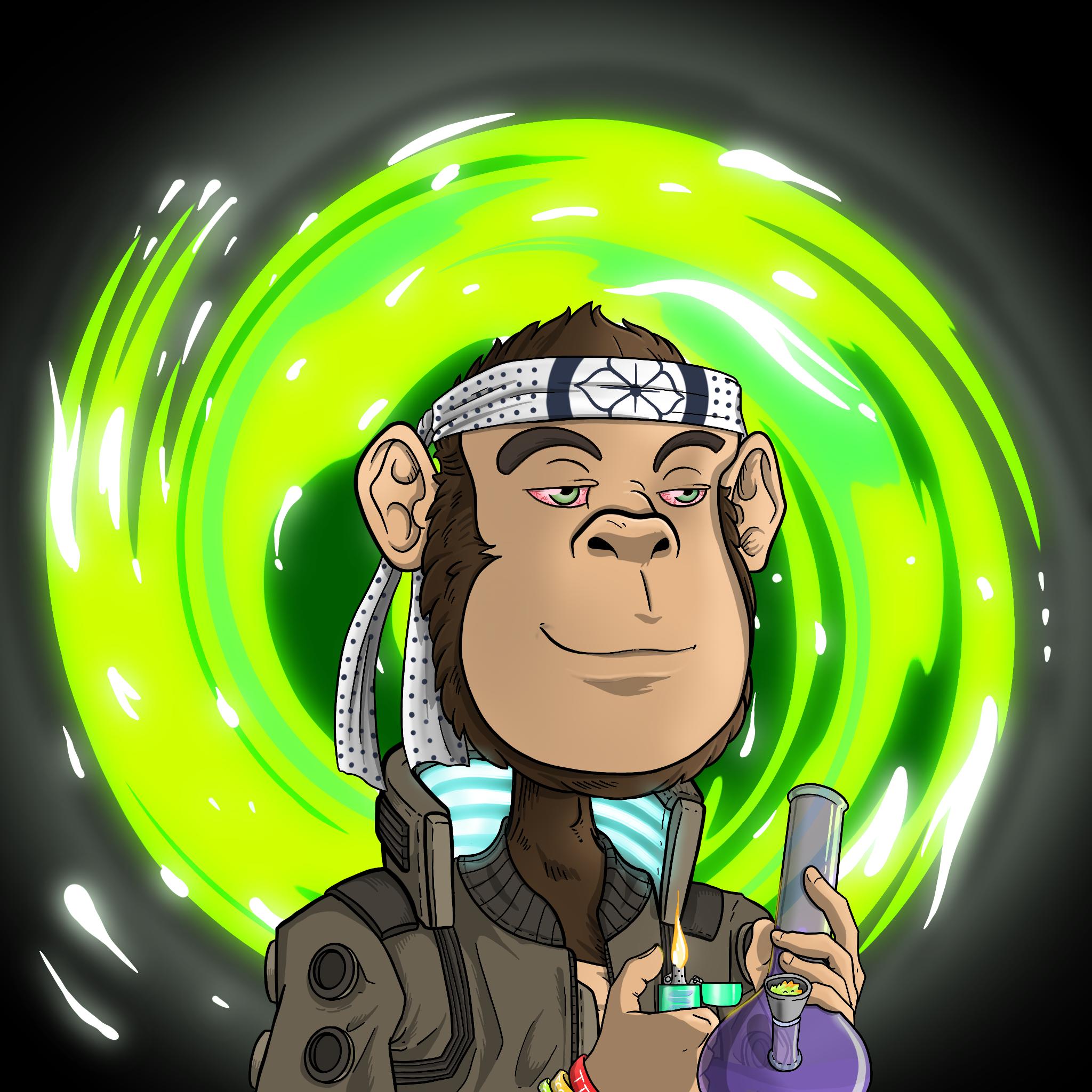 Time Traveling Chimp #541 NFT artwork