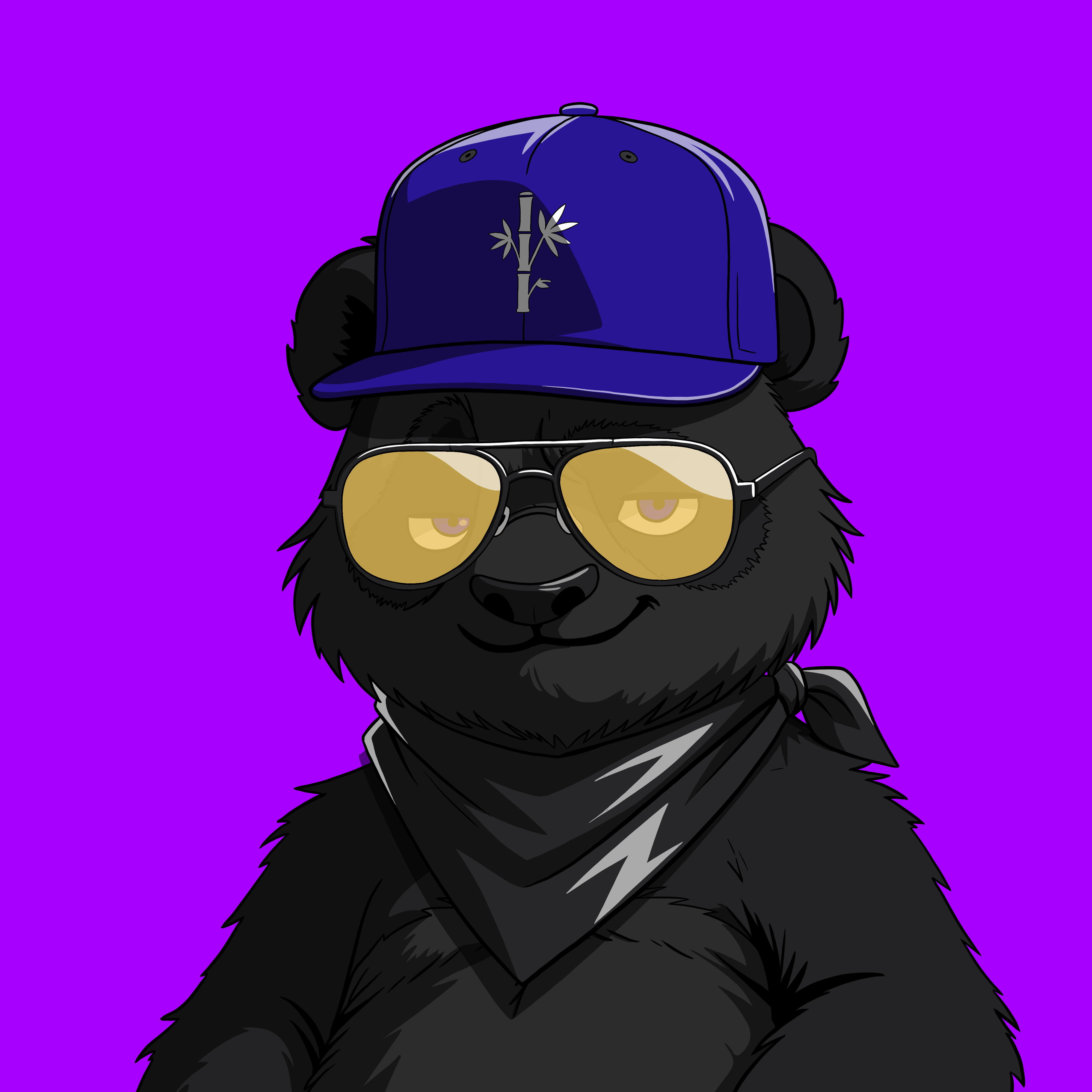 Pandas On Sol #1525 NFT artwork
