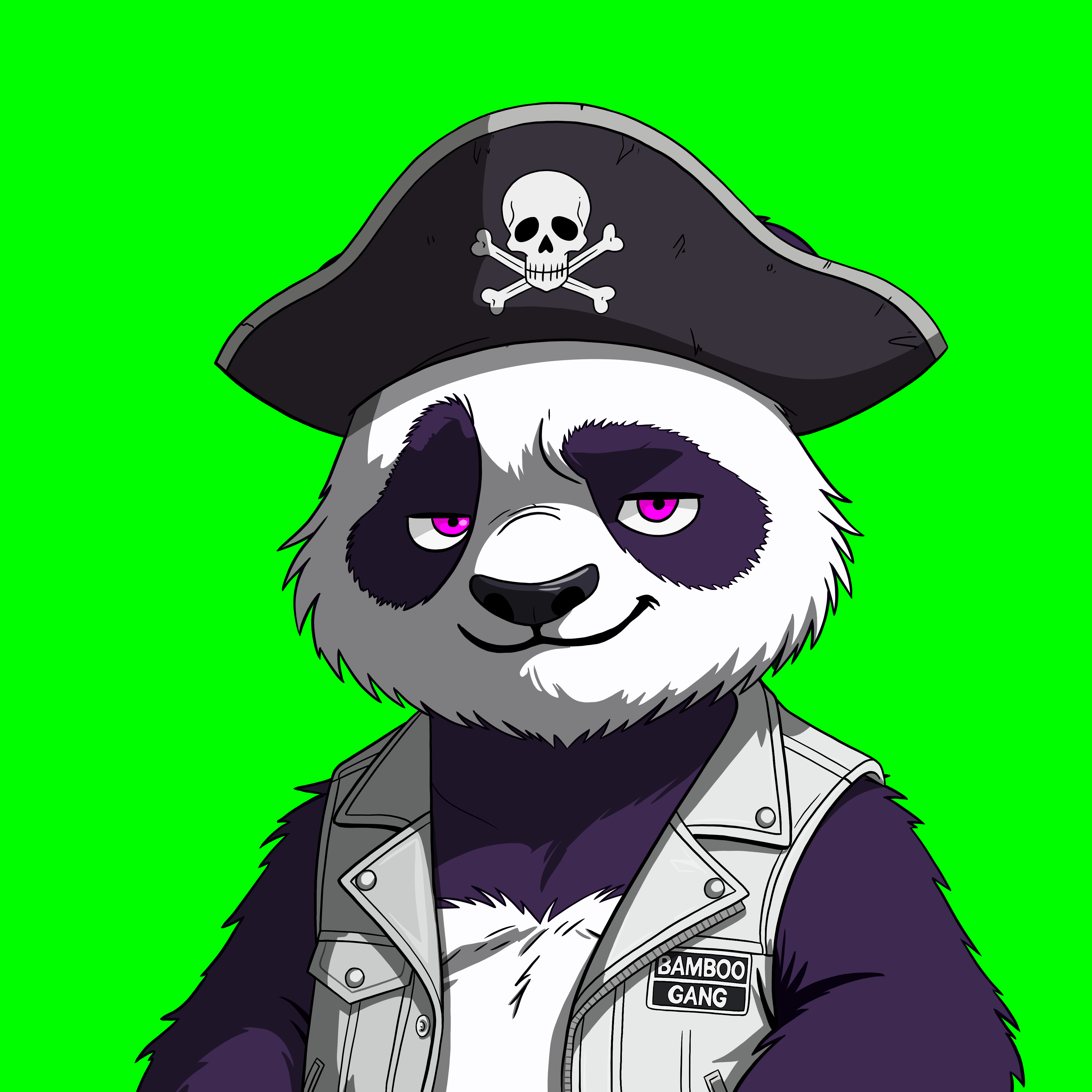 Pandas On Sol #2317 NFT artwork