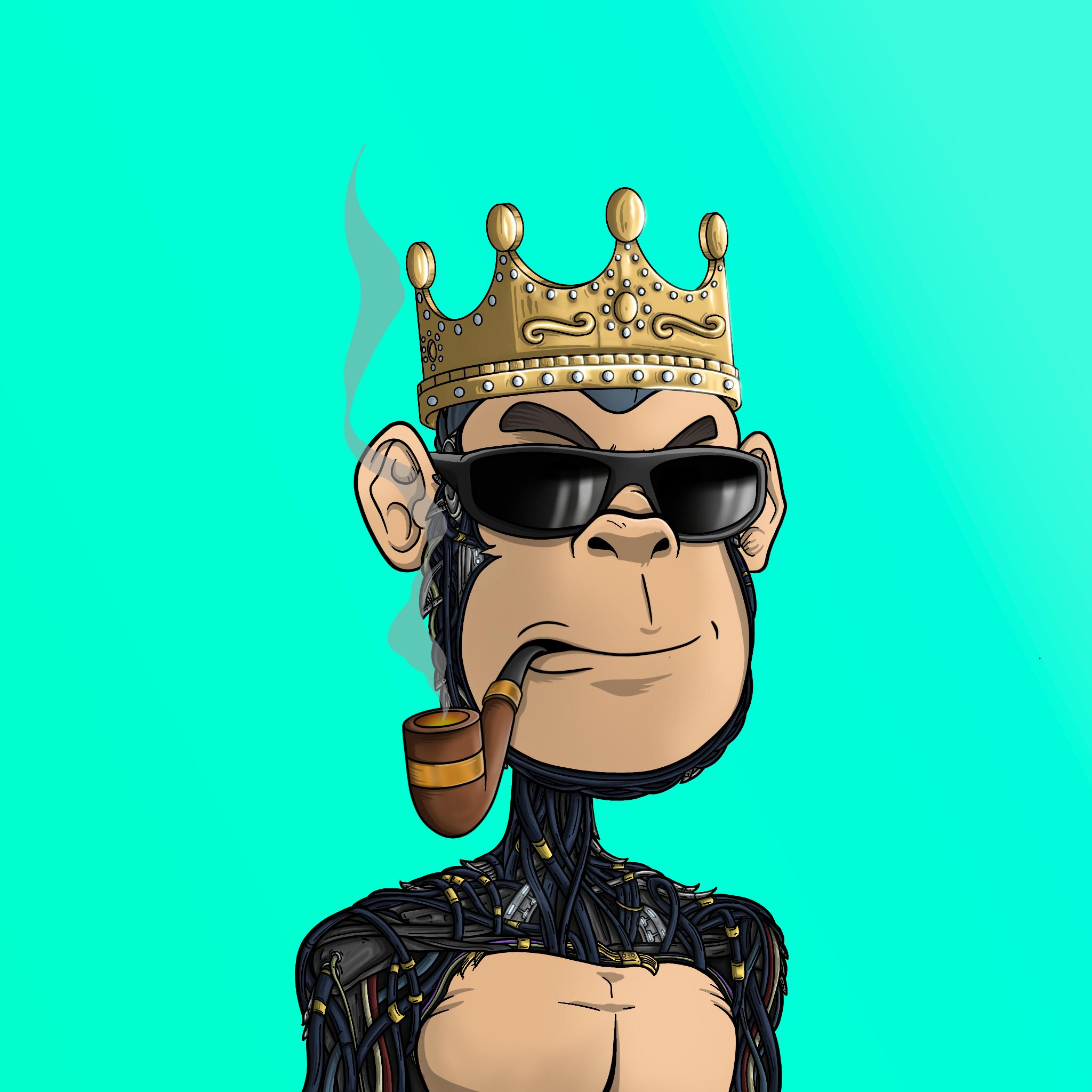 Time Traveling Chimp #1397 NFT artwork