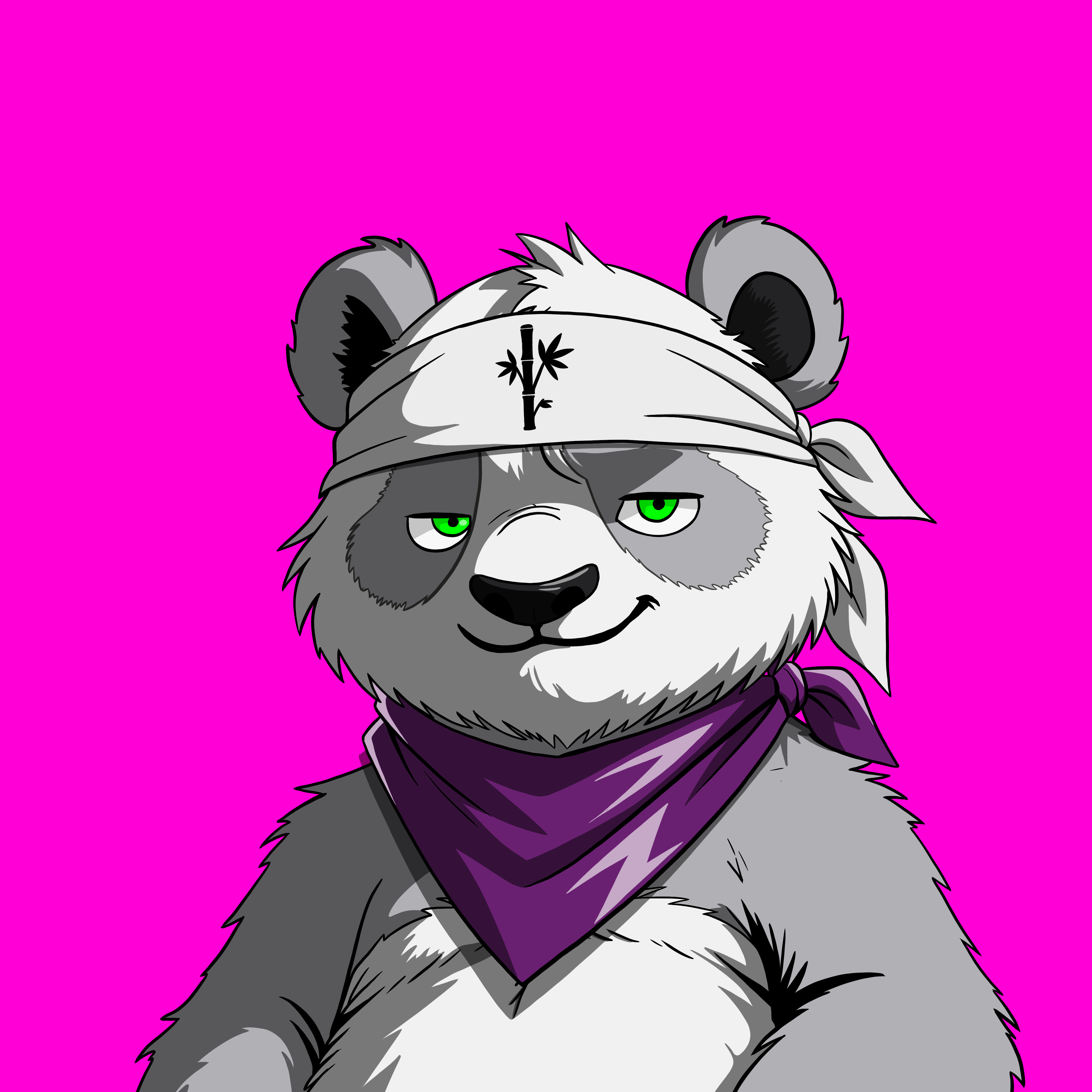 Pandas On Sol #1612 NFT artwork