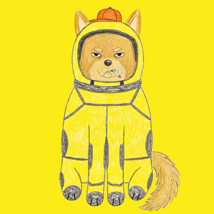 Space Shibas #40 NFT artwork