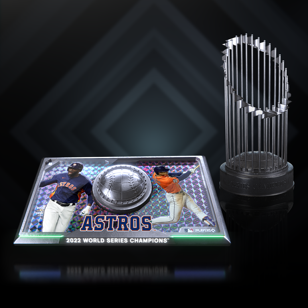 2022 Silver World Series Ch 205 NFT artwork