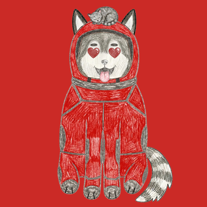 Space Shibas #23 NFT artwork