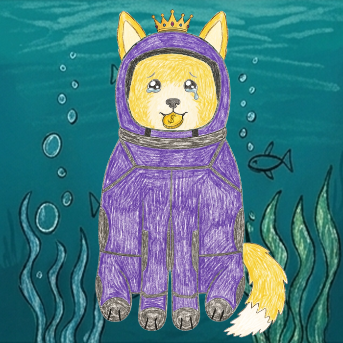 Space Shibas #13 NFT artwork