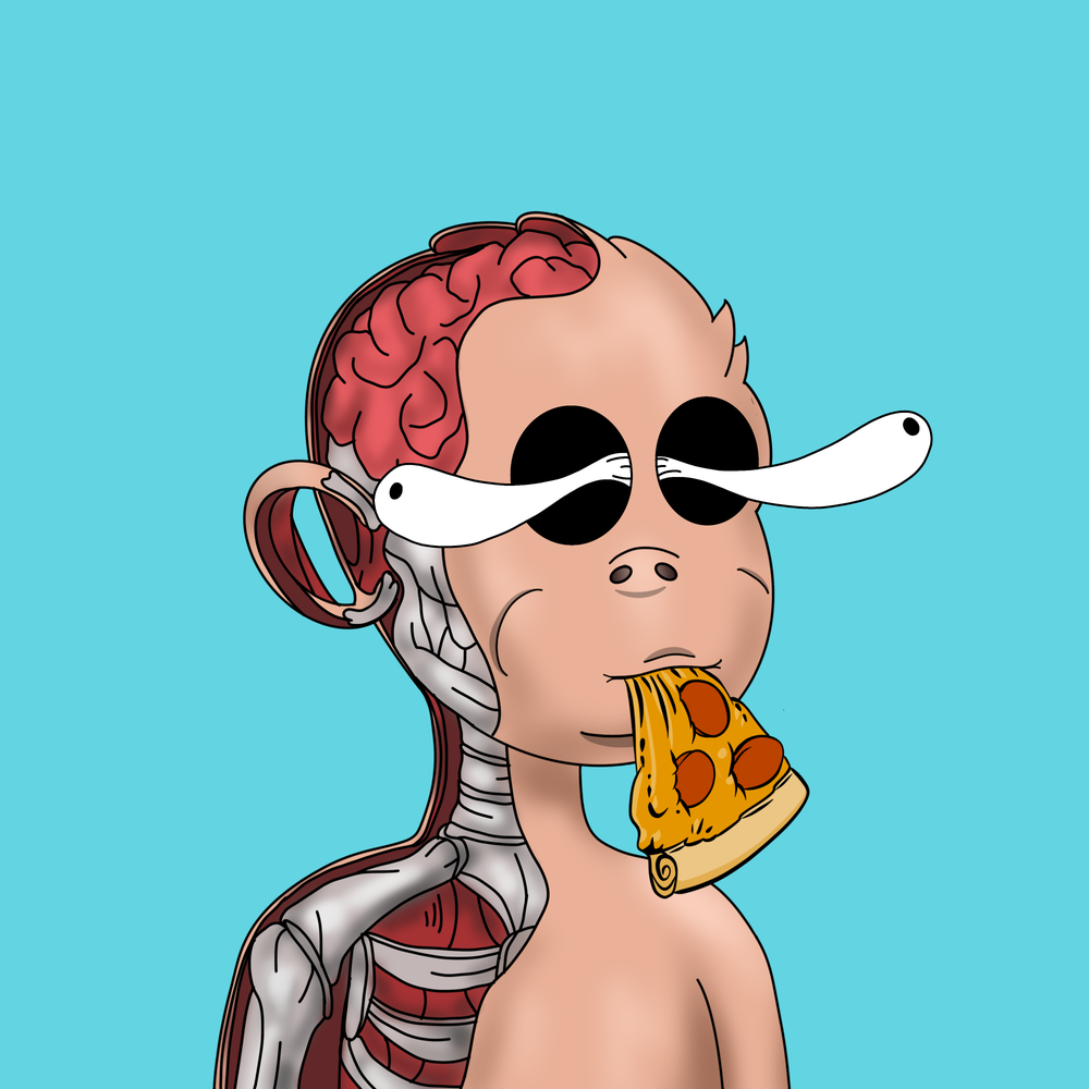 TOBi #1211 NFT artwork