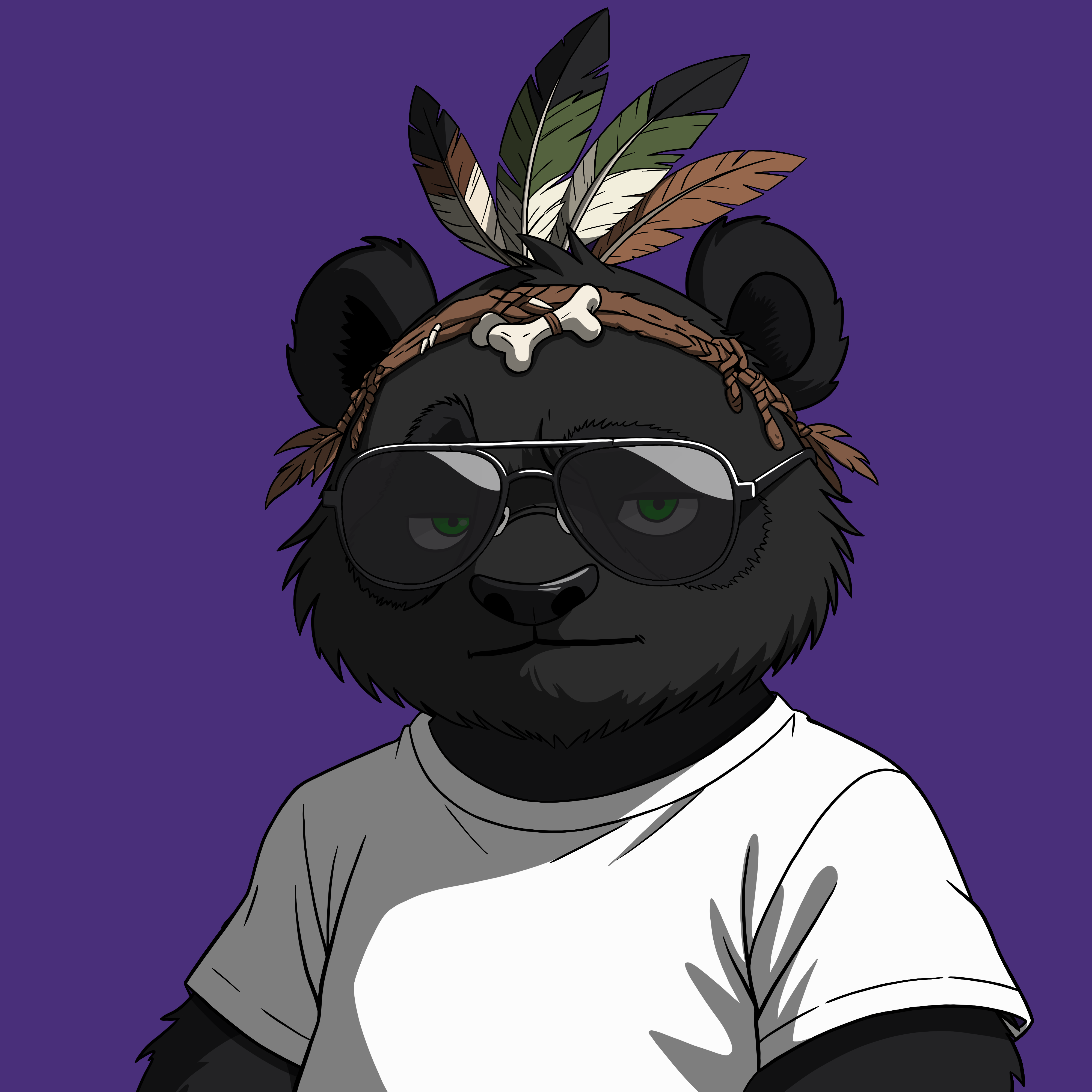 Pandas On Sol #745 NFT artwork