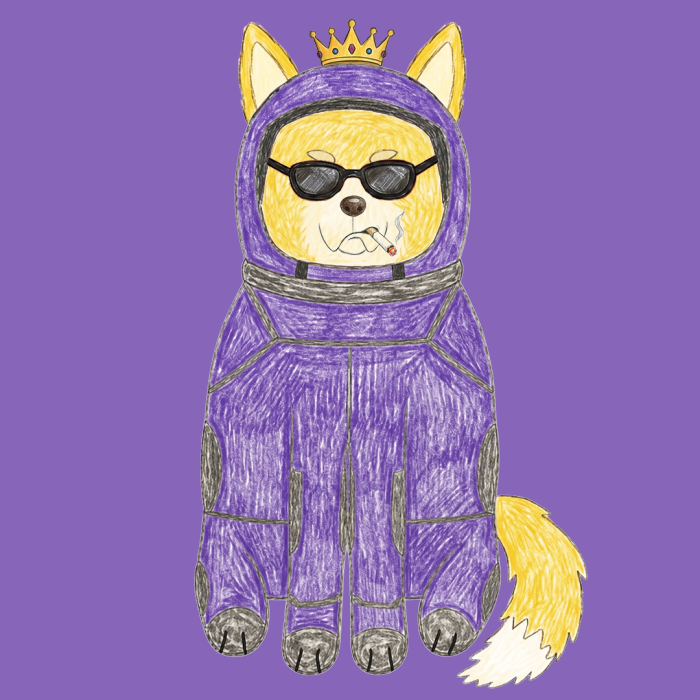 Space Shibas #25 NFT artwork