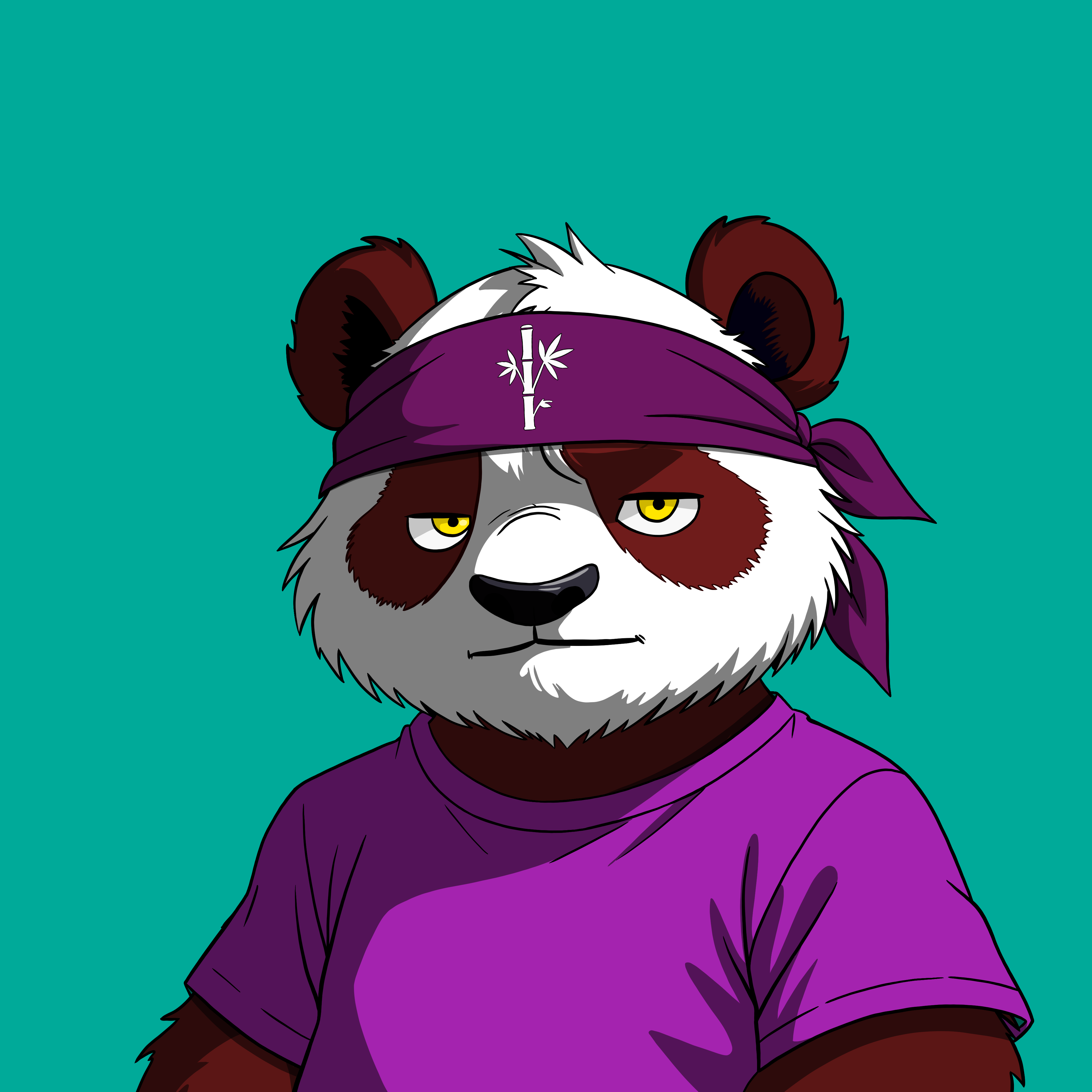 Pandas On Sol #2192 NFT artwork