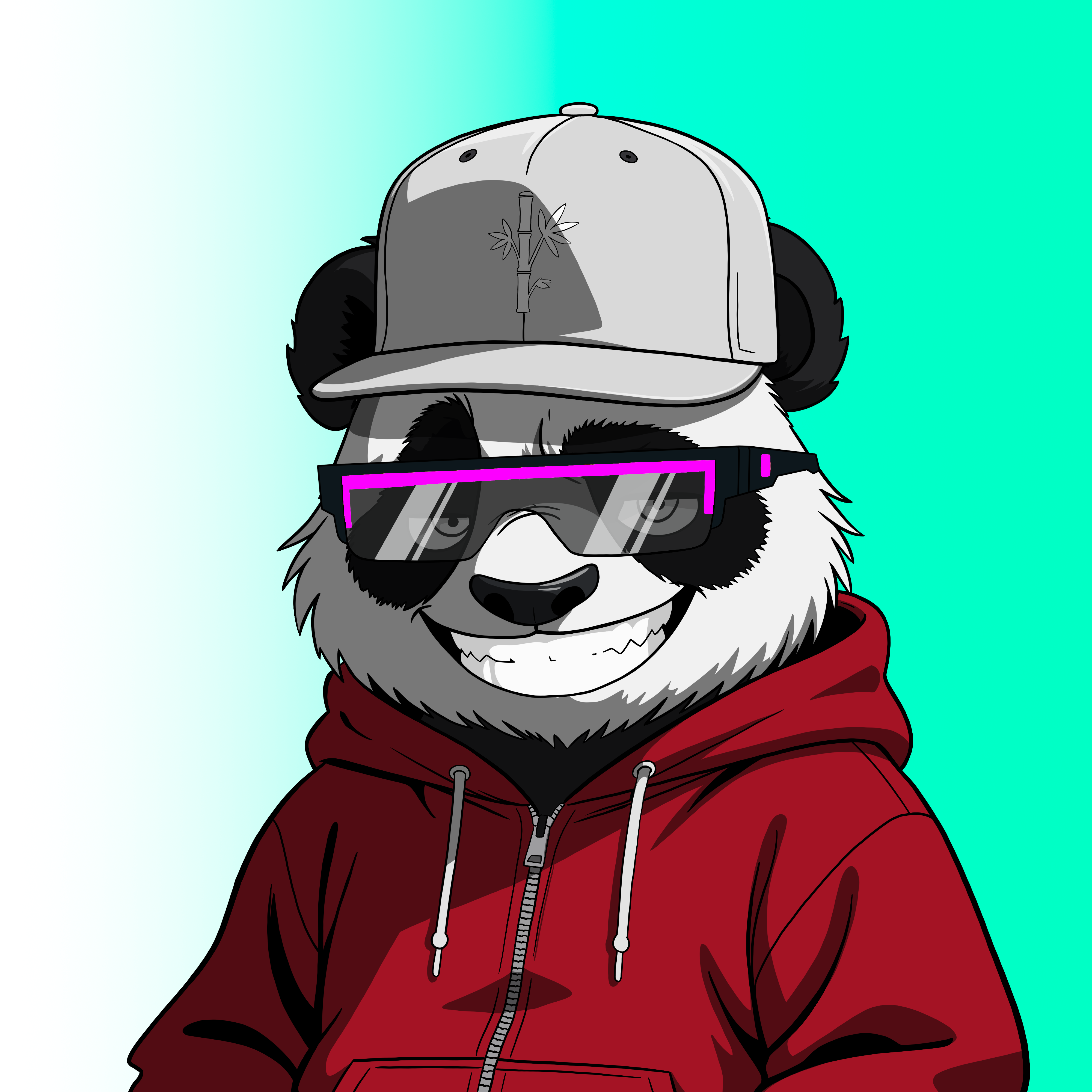 Pandas On Sol #1811 NFT artwork