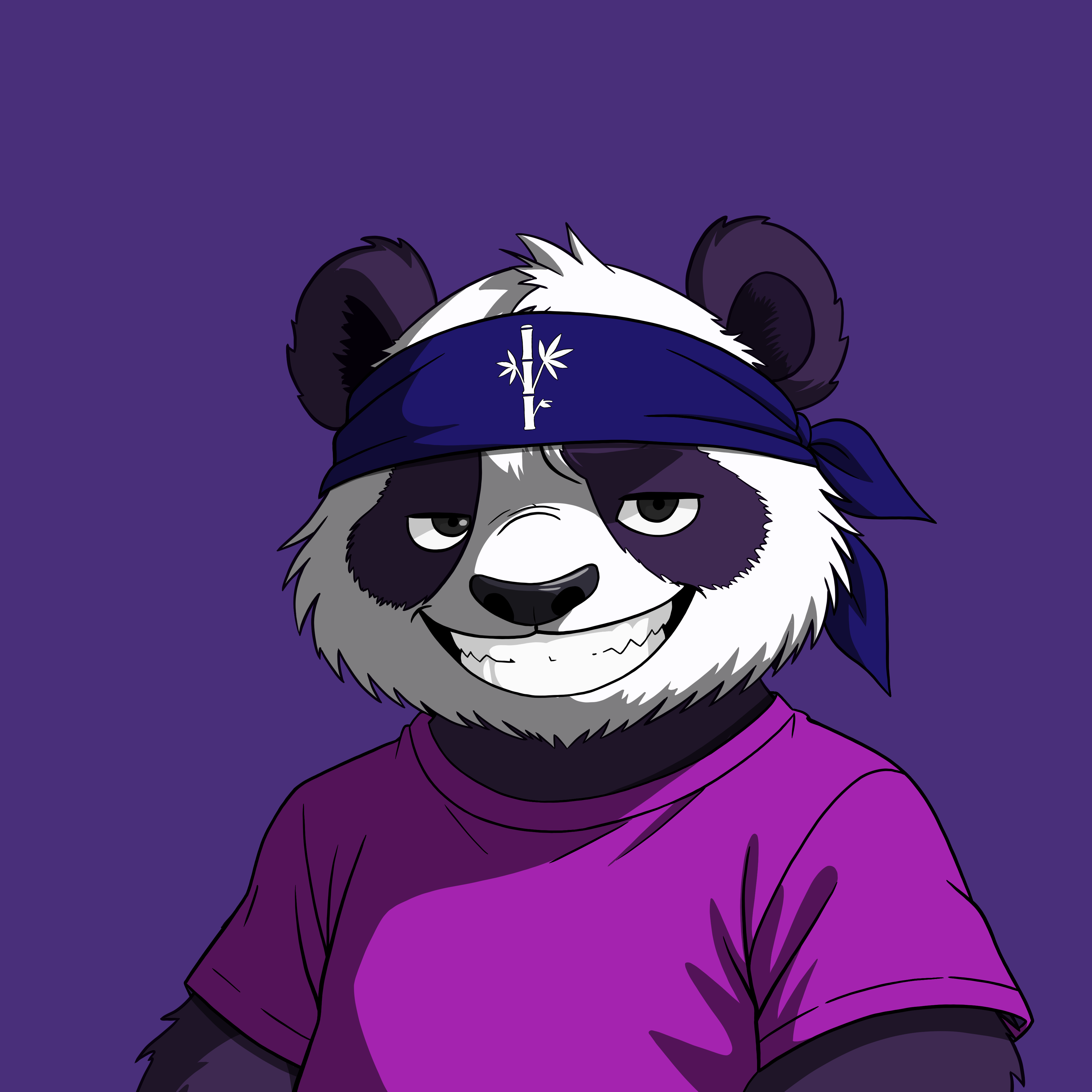 Pandas On Sol #1498 NFT artwork