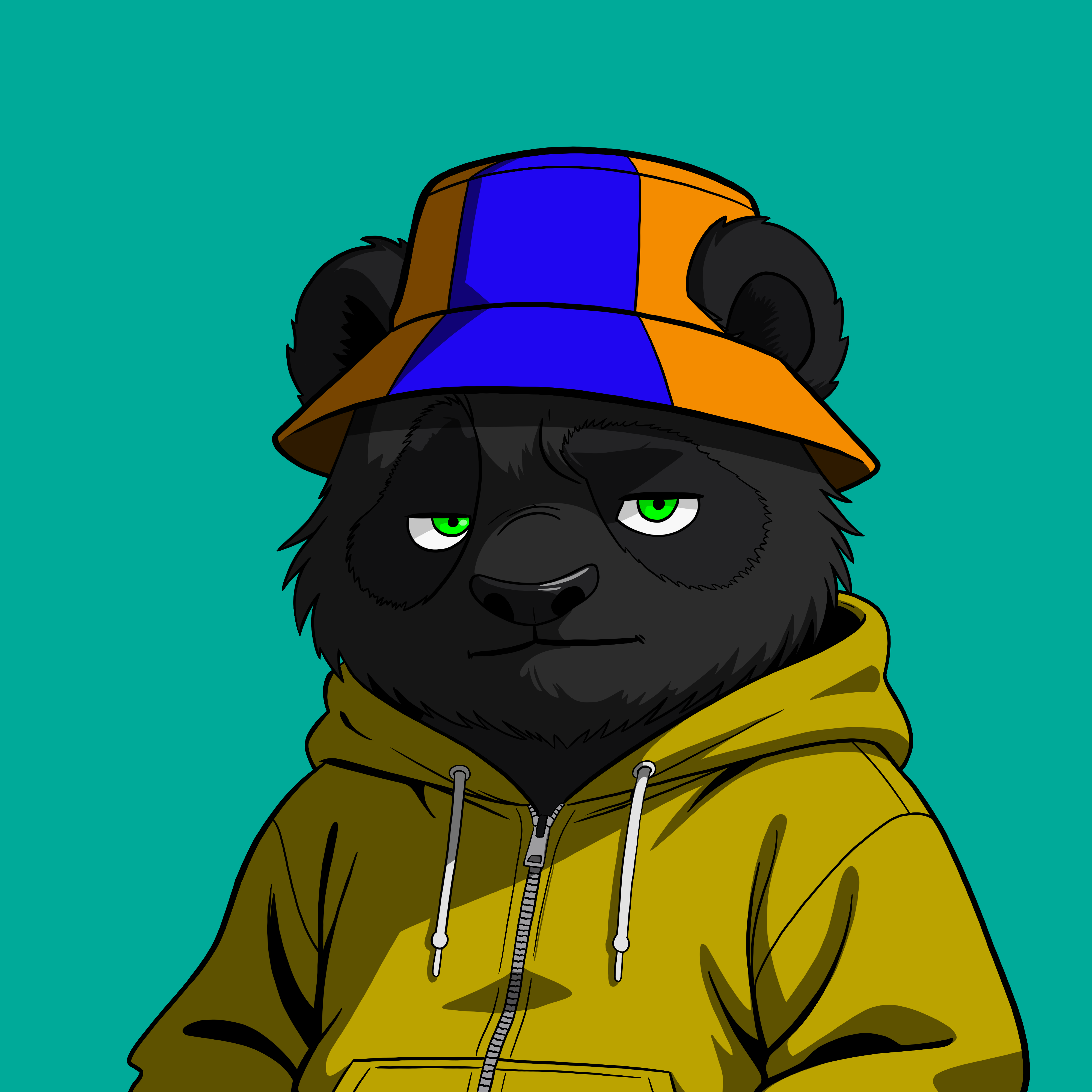 Pandas On Sol #1865 NFT artwork