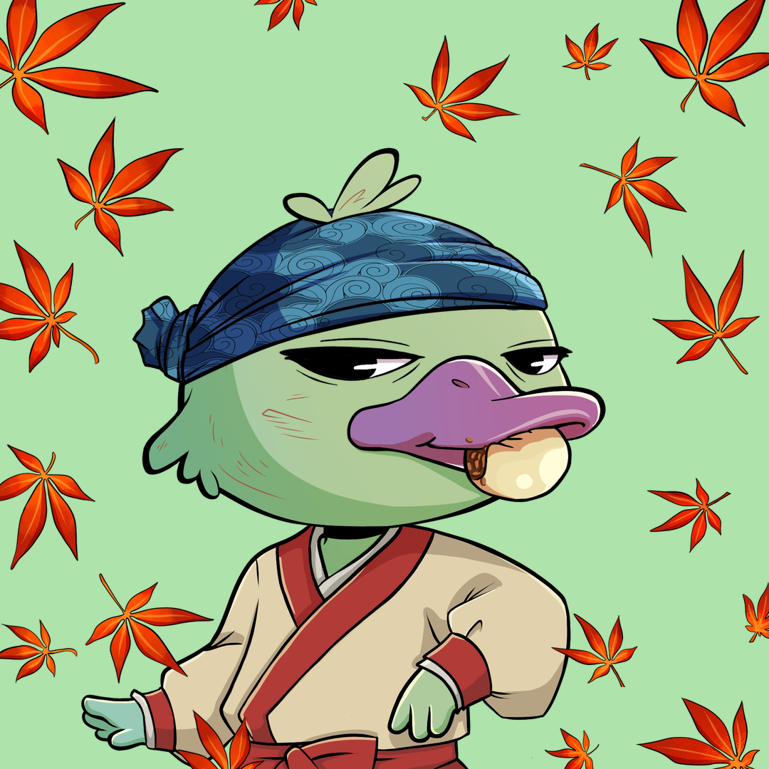 Quack Heads #1494 NFT artwork