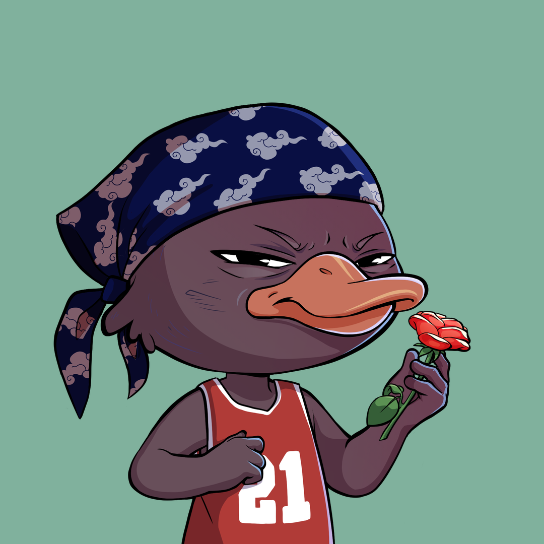 Quack Heads #1695 NFT artwork