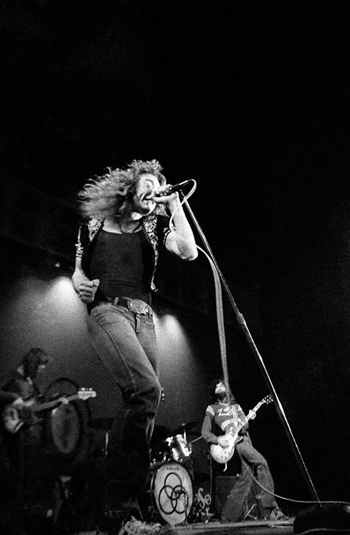 Fin Costello Robert Plant of 24 NFT artwork