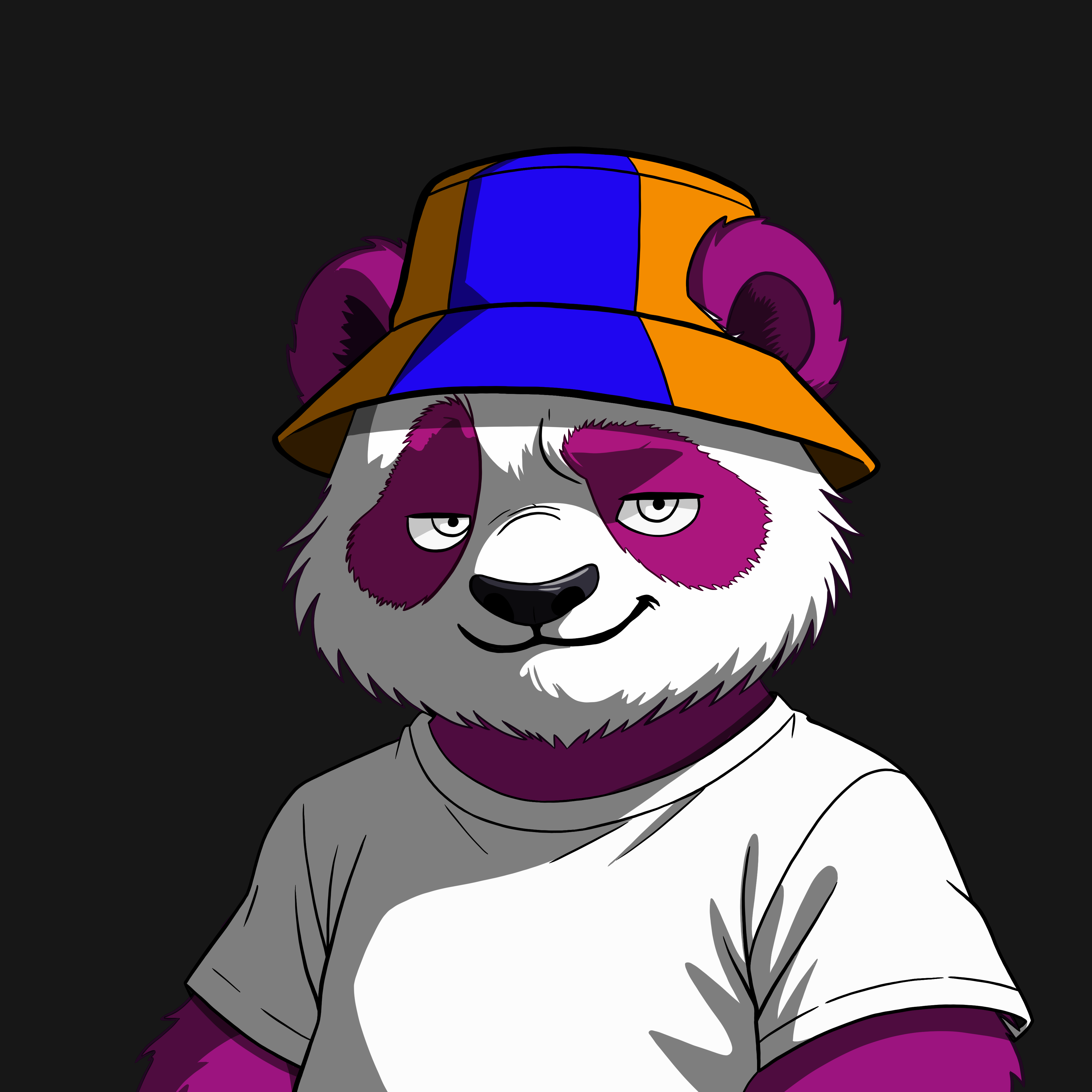 Pandas On Sol #972 NFT artwork